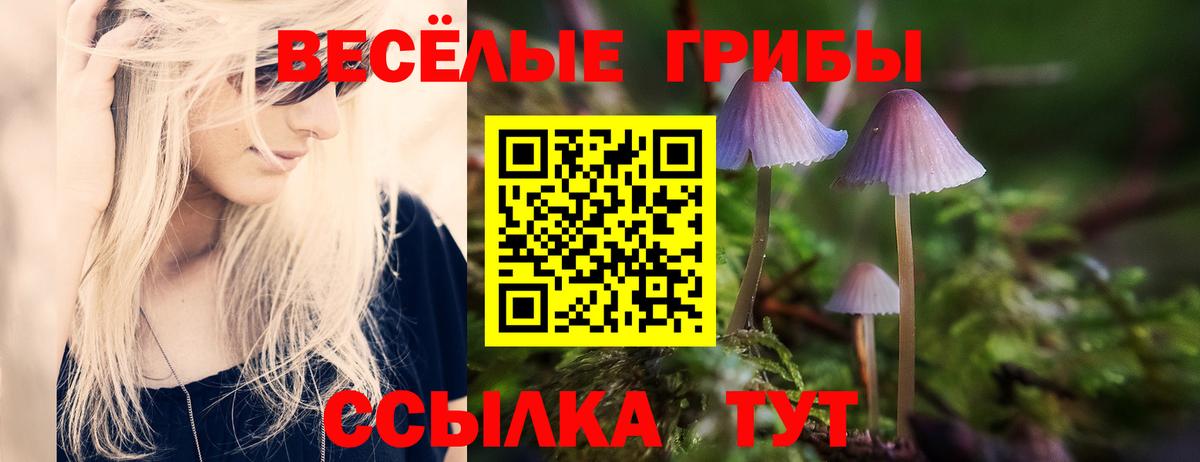 Псилоцибиновые грибы Cubensis Наро-Фоминск
